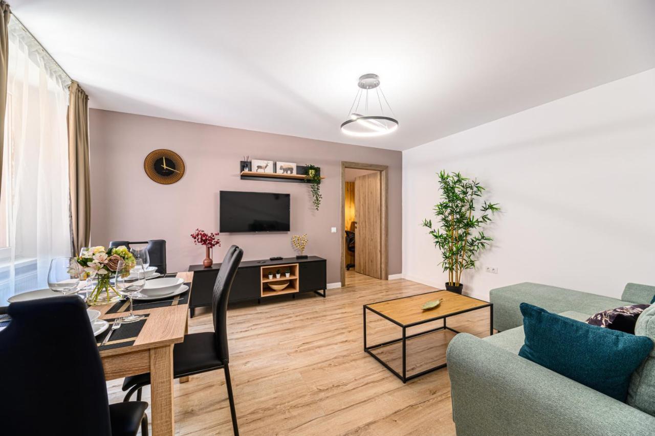 Schei Gate Apartment 布拉索夫 外观 照片