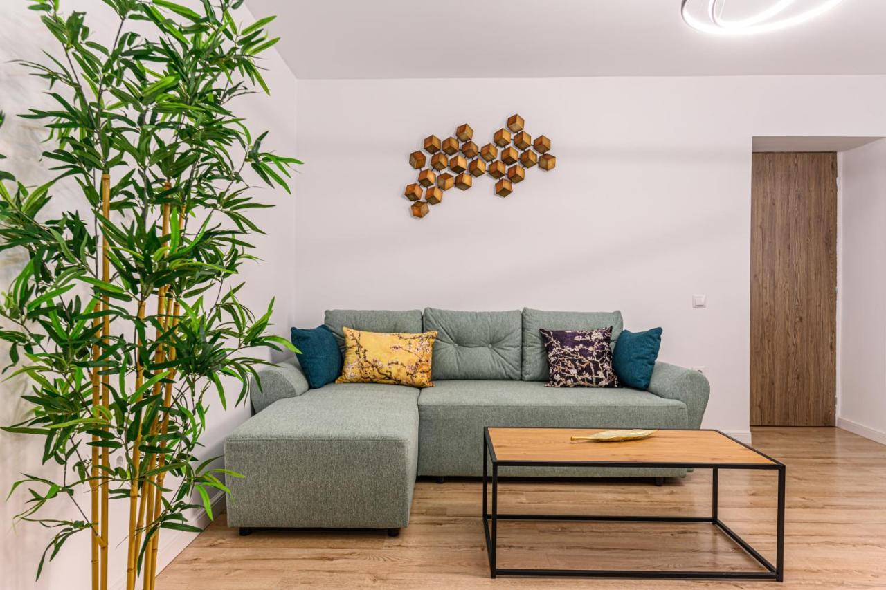 Schei Gate Apartment 布拉索夫 外观 照片