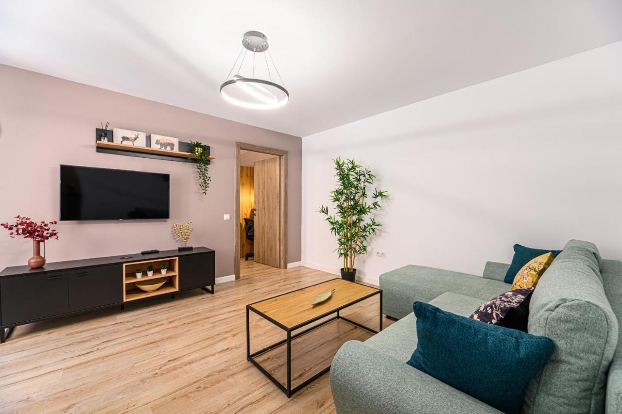 Schei Gate Apartment 布拉索夫 外观 照片