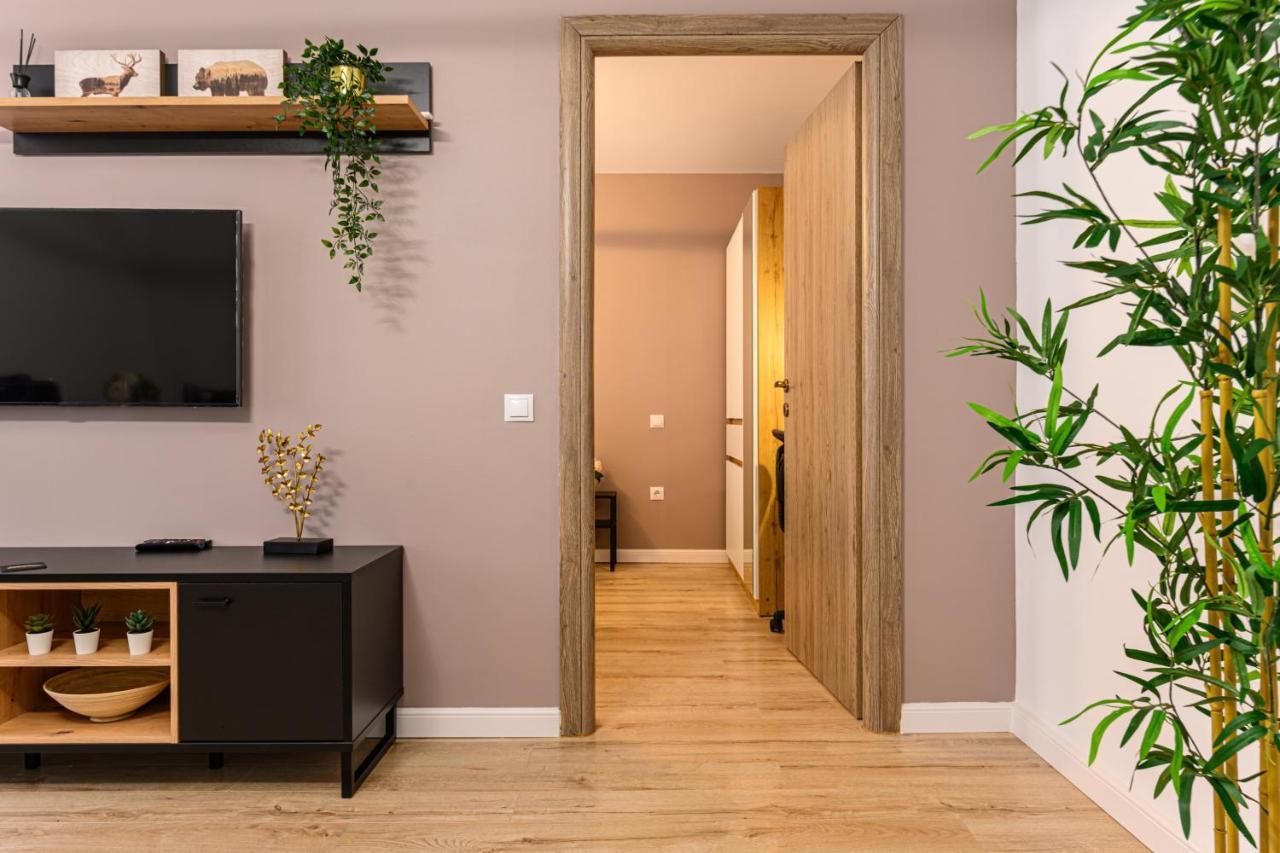 Schei Gate Apartment 布拉索夫 外观 照片